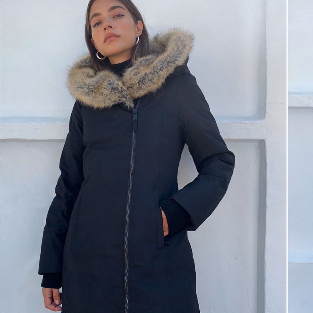 Aritzia St Moritz winter parka